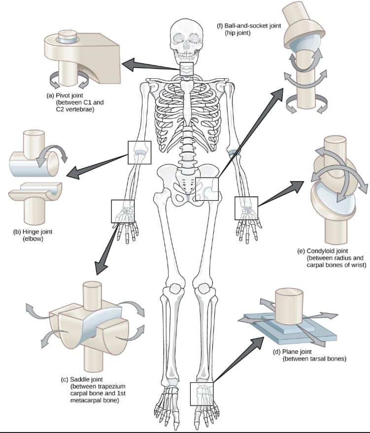 Blog image 1