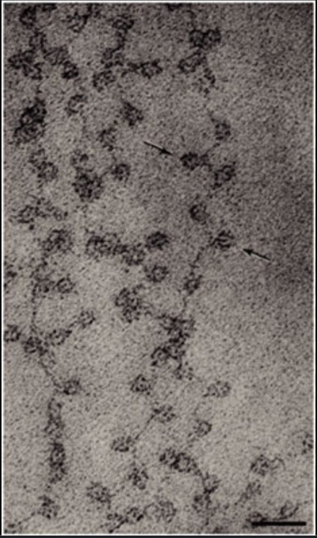Blog image 1